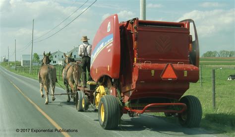 Local Stores (Both Amish and English-owned) Amish-owned variety stores, bulk foods outlets, fabric shops, and bent-n-dents (to name a few) can all be found in Amish communities, especially the larger ones (but often the smaller as well). . Amish farm equipment catalog
